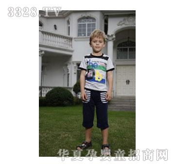 ���DB���䣨��������ϼt����ɫ��