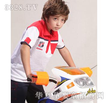 �����R��ɫ���b