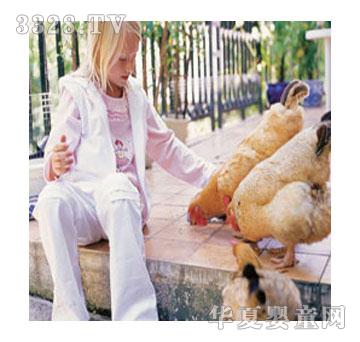 �t��˼���bNO030240