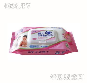 ��������ʾվ��A80Ƭ�����w�����