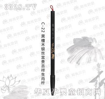 ꖹ�ؐؐC-22��̴ľ�y�z���F������Ф�U