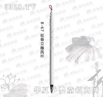 ꖹ�ؐؐB-67�������P�U