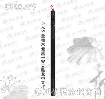 ꖹ�ؐؐB-65��̴ľ����ƽ�����������U