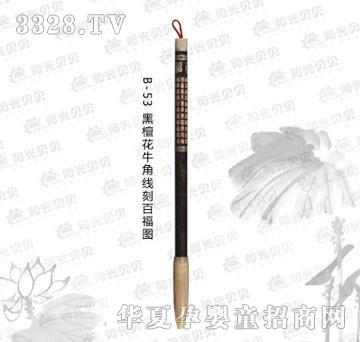 ꖹ�ؐؐB-53��̴��ţ�Ǿ��̰ٸ��D