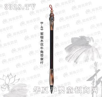 ꖹ�ؐؐB-49��̴ľ��ţ�ǎ��U