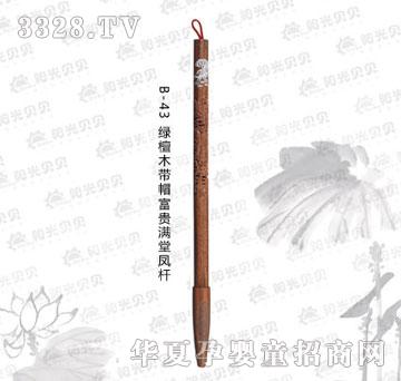 ꖹ�ؐؐB-43�G̴ľ��ñ���F�M���P�U