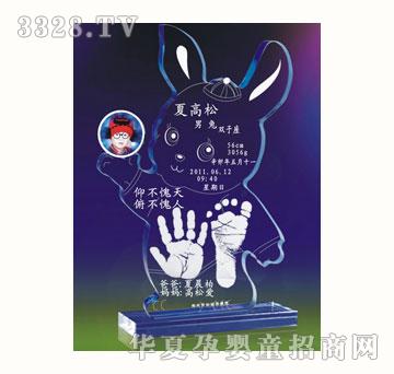 ѩ�q���������_ӡ