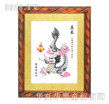 ϲ������������