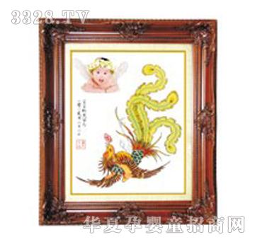 �ݼ����B�w���P̥ë��