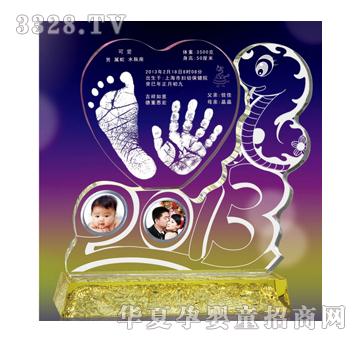 �ݼ����Ą�2013ˮ������ӡ