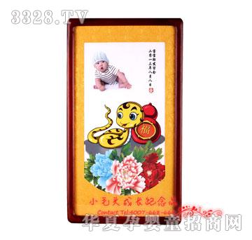 Сë�^��������̥ë��(hu��)PC-1316