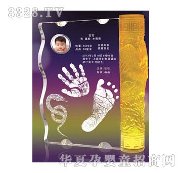 ��(��i)�����P�ߚg������ӡ