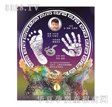 ��(��i)�����P�Q���(y��ng)����ӡ