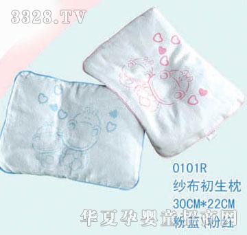 ��ʿ0101R