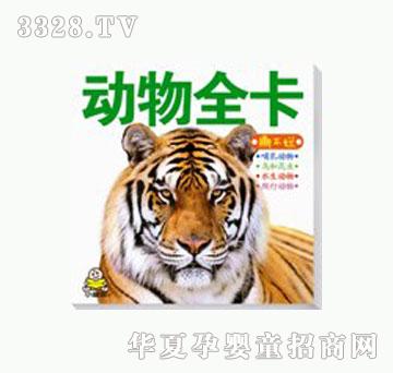 ���O������ȫ��