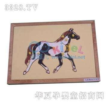 ����RǶ��