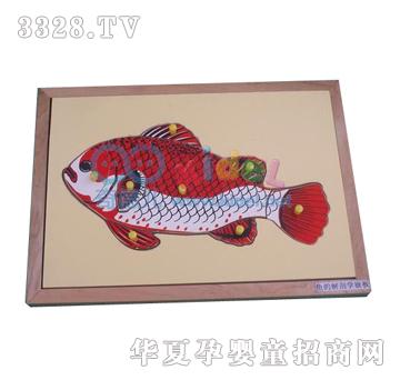 ����~(y��)Ƕ��