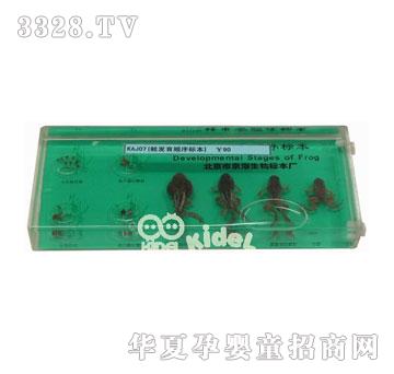 ����ܰl(f��)������(bi��o)��