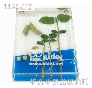 ��������L(zh��ng)ʷ��(bi��o)��