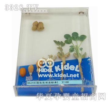 ����������L(zh��ng)ʷ��(bi��o)��