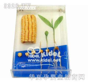 ����������L(zh��ng)ʷ��(bi��o)��