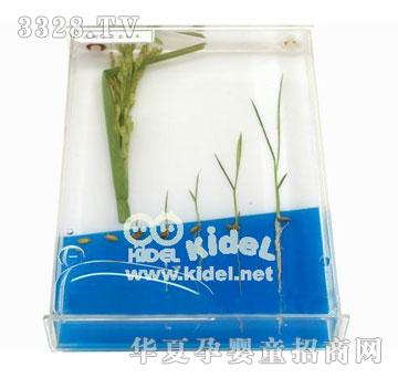 ���ˮ�����L(zh��ng)ʷ��(bi��o)��