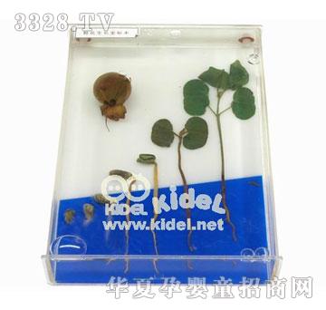 ����޻����L(zh��ng)ʷ��(bi��o)��