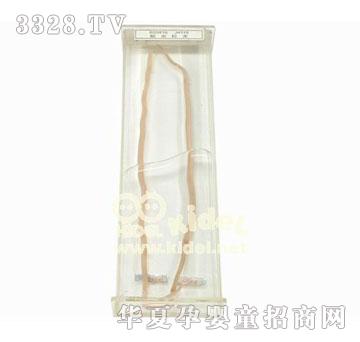 ������x(ch��ng)��(bi��o)��