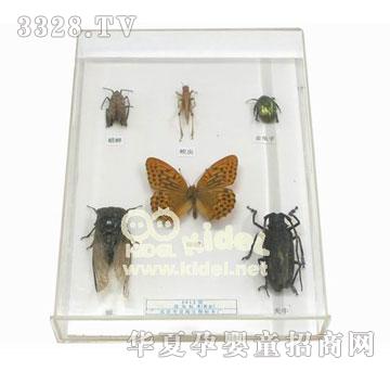 ������x(ch��ng)��(bi��o)��