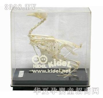 �����������(bi��o)��