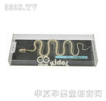 ����߹�����(bi��o)��