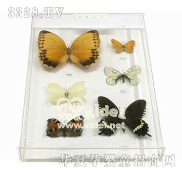 ���������(bi��o)��