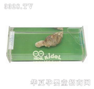 ���΁ţ��(bi��o)��