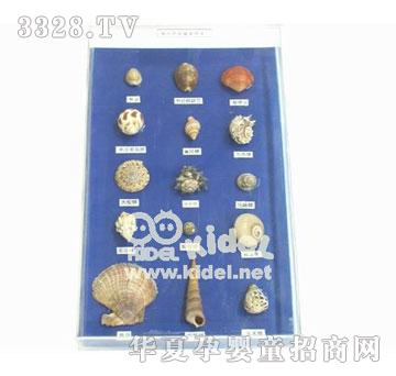 �������ؐM��