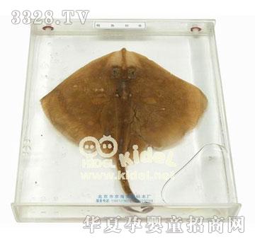 ������~(y��)��(bi��o)��