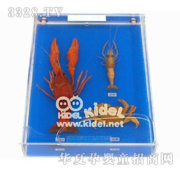 �����(ji��)֫��(d��ng)��M�ϣ���