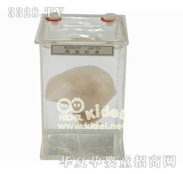 ������U��(bi��o)��