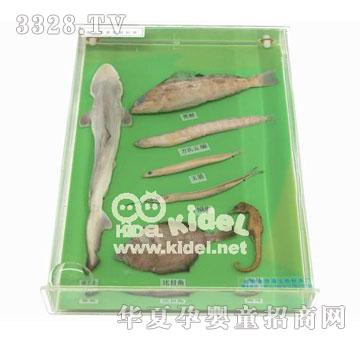 ��������~(y��)M��