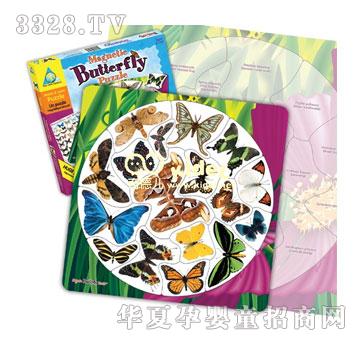 �������ƴ�D��ٿ�-����