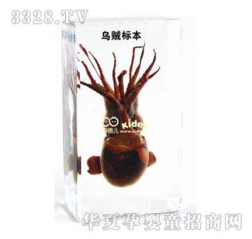 ������\��(bi��o)��