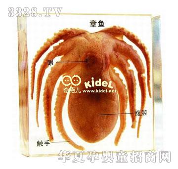 ������~(y��)��(bi��o)��