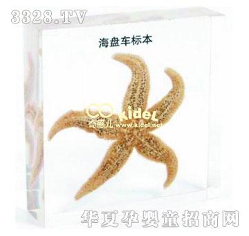 ������P܇��(bi��o)��