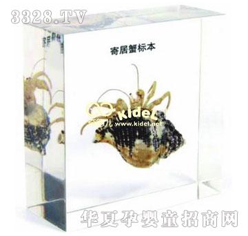 ����ľ�з��(bi��o)��