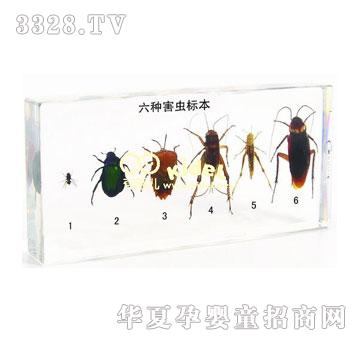 ������N���x(ch��ng)��(bi��o)��