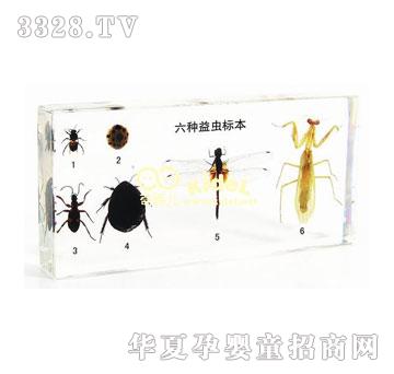 ������N���x(ch��ng)��(bi��o)������(gu��)��(bi��o)��