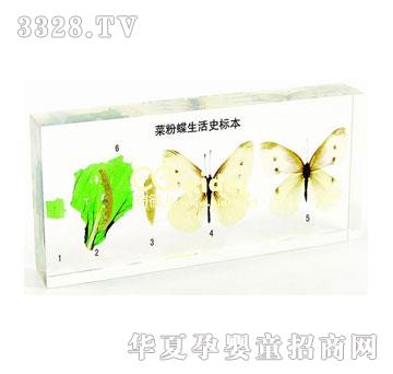 ����˷۵�����ʷ����(gu��)��(bi��o)��