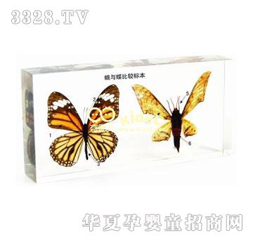 ������c�����^��(bi��o)������(gu��)��(bi��o)��