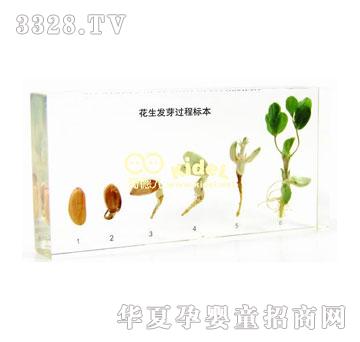 ��������l(f��)ѿ�^(gu��)�̘�(bi��o)������(gu��)��(bi��o)��