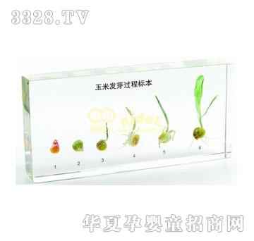 ������װl(f��)ѿ�^(gu��)�̘�(bi��o)������(gu��)��(bi��o)��