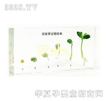 �����ѿ�l(f��)ѿ�^(gu��)�̘�(bi��o)������(gu��)��(bi��o)��